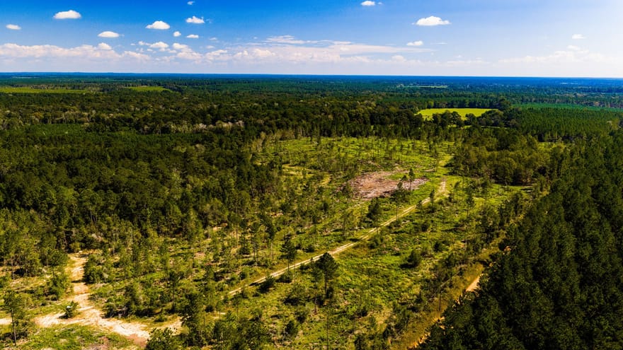 006 Buddy Lloyd Rd, Livingston, Texas