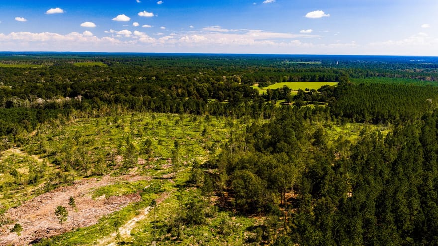 008 Buddy Lloyd Rd, Livingston, Texas