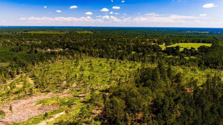 008 Buddy Lloyd Rd, Livingston, Texas
