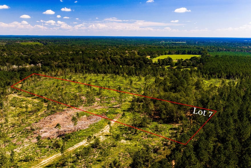 007 Buddy Lloyd Rd, Livingston, Texas