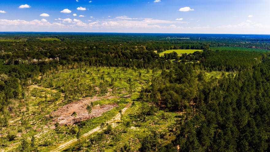 007 Buddy Lloyd Rd, Livingston, Texas