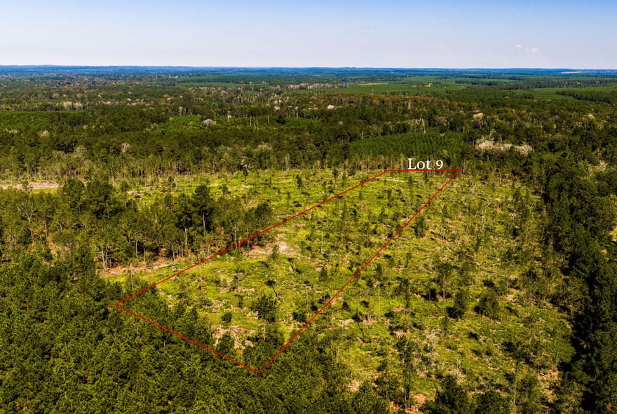 009 Buddy Lloyd Rd, Livingston, Texas