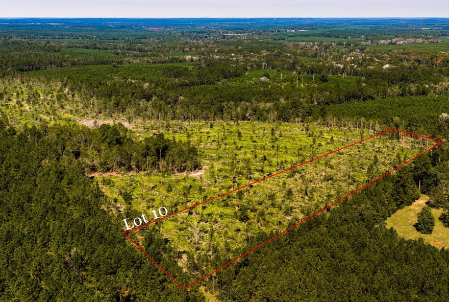 010 Buddy Lloyd Rd, Livingston, Texas