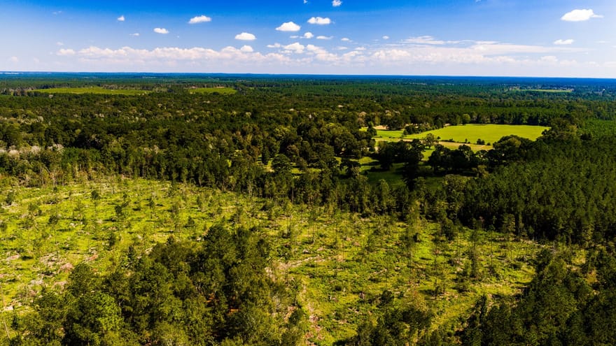 010 Buddy Lloyd Rd, Livingston, Texas