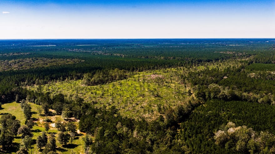 010 Buddy Lloyd Rd, Livingston, Texas