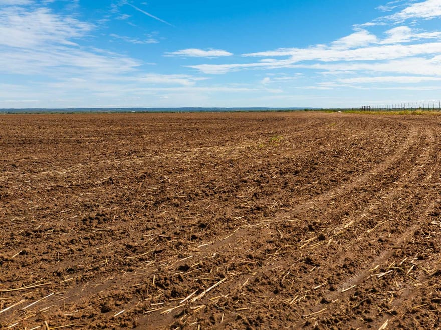 TBD Cr 161, Ovalo, Texas