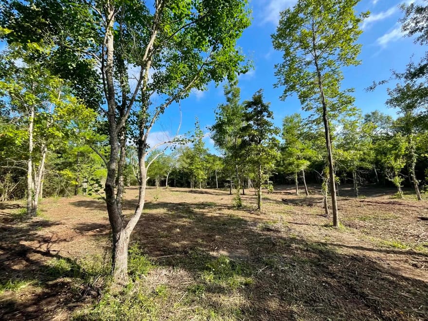 Lot 6 E Fm 942, Livingston, Texas