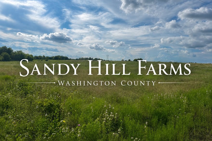 TRACT 4 Randermann Rd, Brenham, Texas