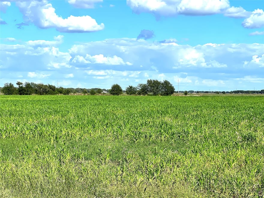 Fm 441 North, El Campo, Texas