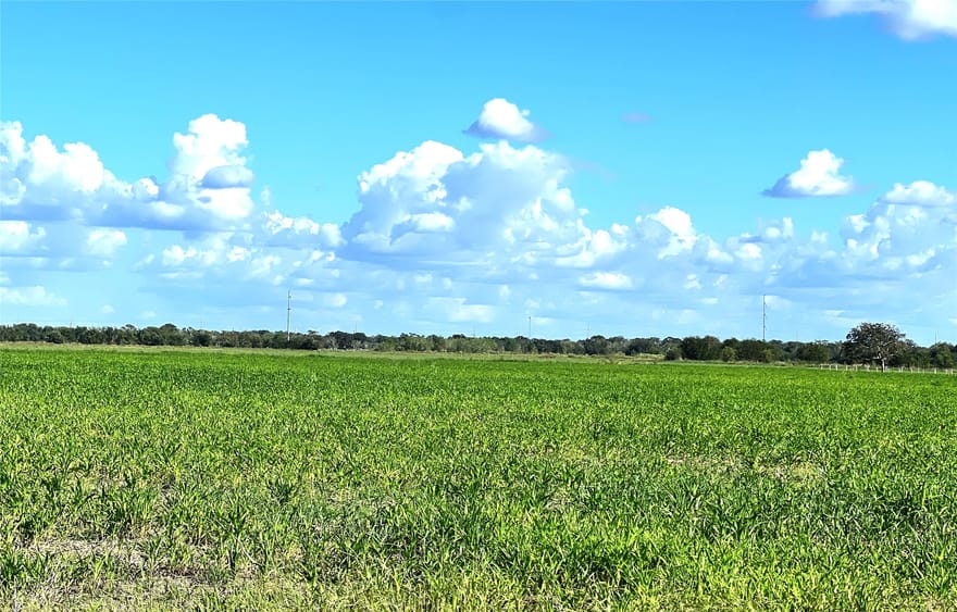 Fm 441 North, El Campo, Texas