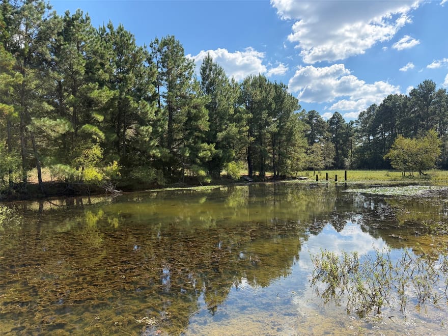 15031 Fm 542, Oakwood, Texas
