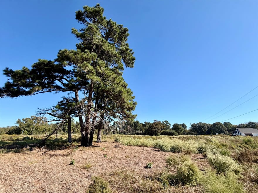 5 ac Pr 1313, Centerville, Texas