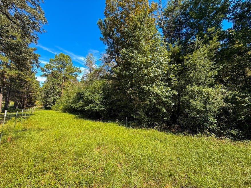 TBD County Road 4260, Woodville, Texas