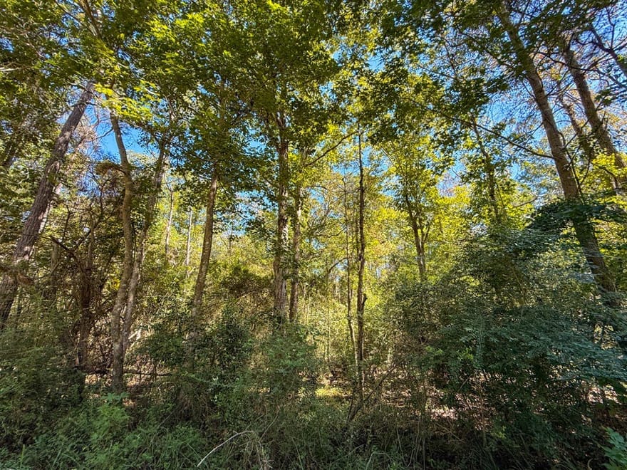 TBD County Road 4260, Woodville, Texas