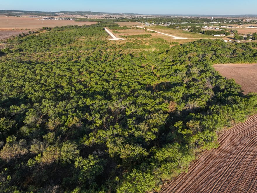 TBD Tract 2 Badger Den, Tuscola, Texas