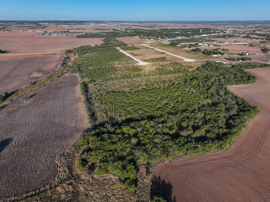 TBD Tract 3 Badger Den, Tuscola, Texas