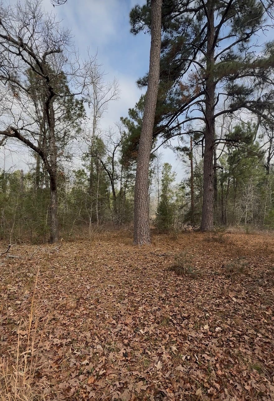 24159 Weeren Road, Montgomery, Texas