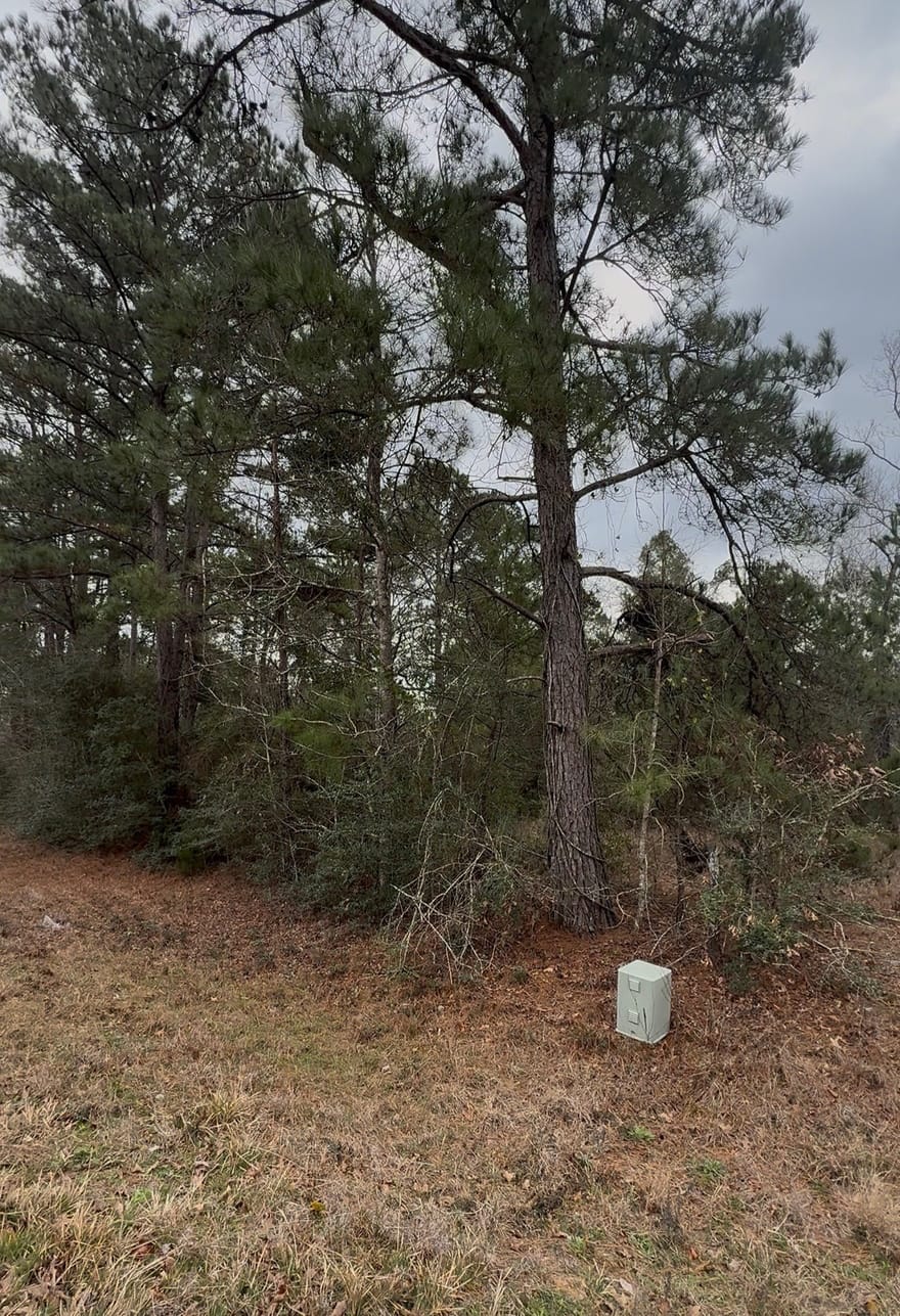 24159 Weeren Road, Montgomery, Texas