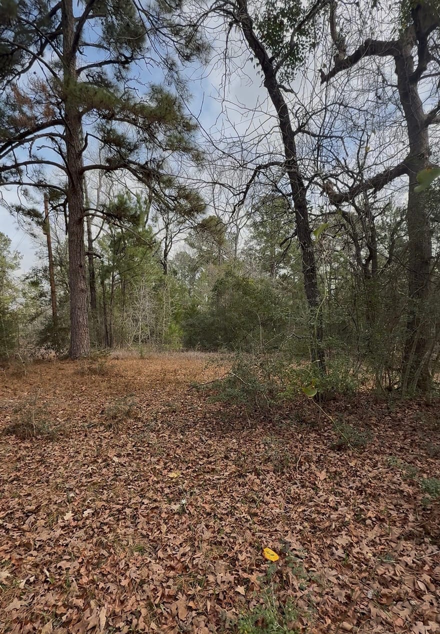 24159 Weeren Road, Montgomery, Texas