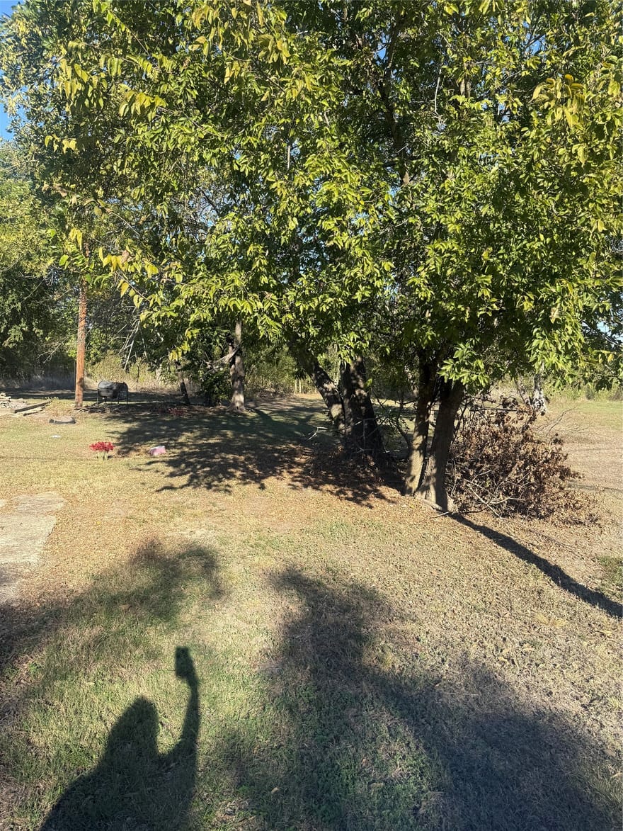 310 N Elm, Mart, Texas