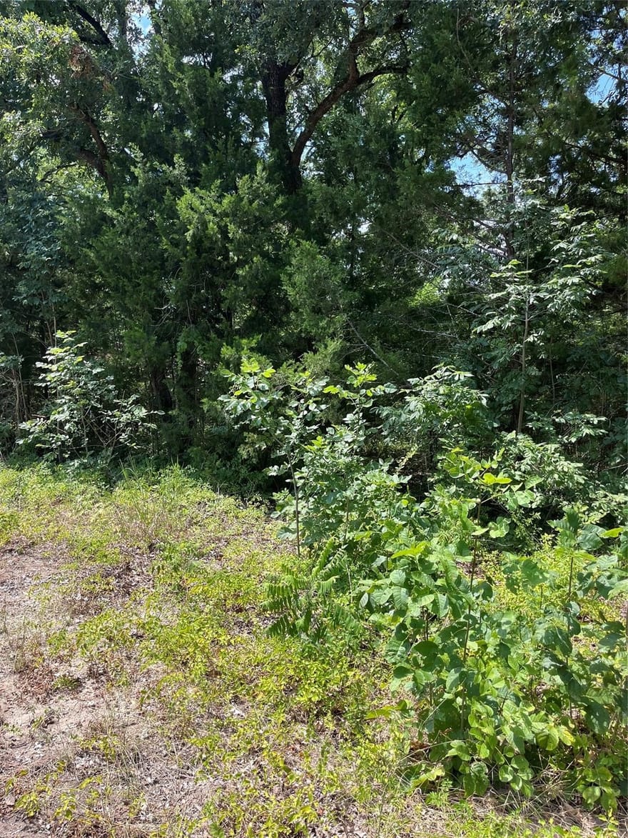 106 Red Bluff Loop, Mabank, Texas