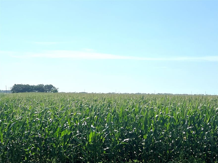 County Road 403, El Campo, Texas
