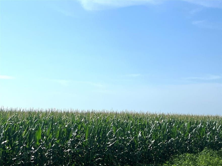 County Road 403, El Campo, Texas