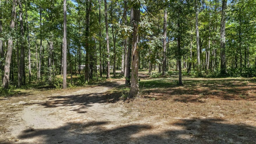 188 Camp Road, Trinity, Texas