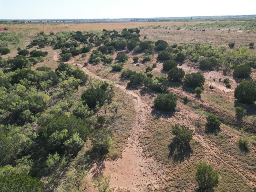 TBD TR 3 County Rd 206, Ovalo, Texas