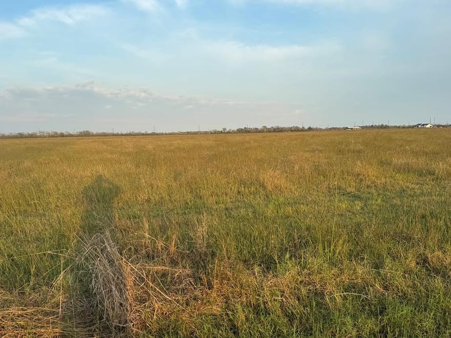 40 ACRES County Road 45, Angleton, Texas