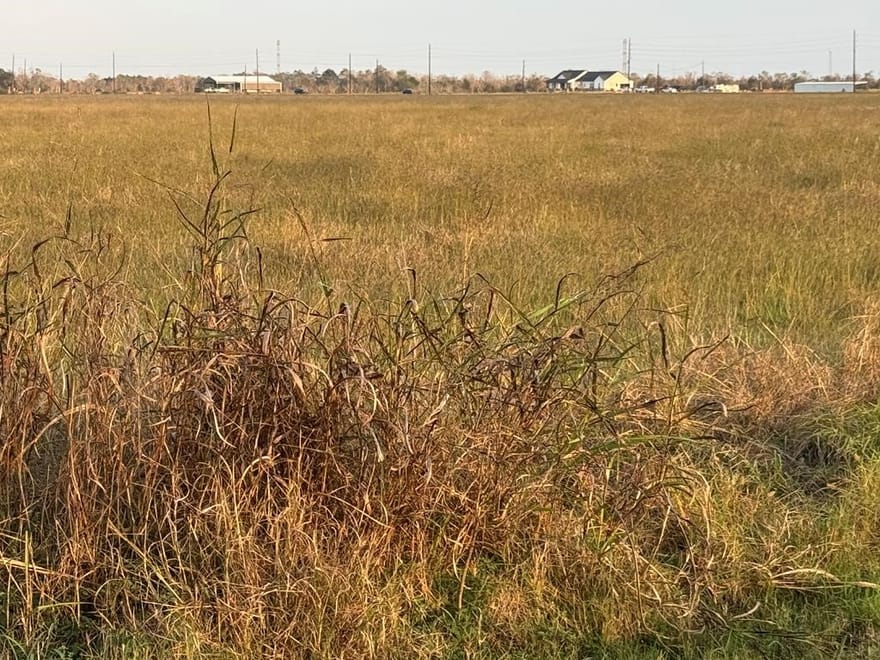 40 ACRES County Road 45, Angleton, Texas