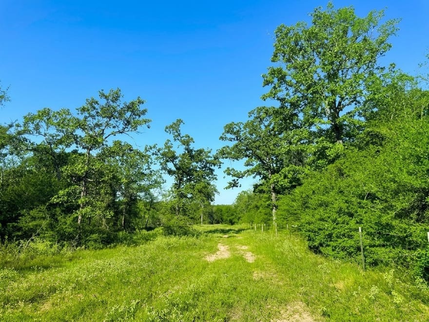 27AC I 45 Feeder, Centerville, Texas