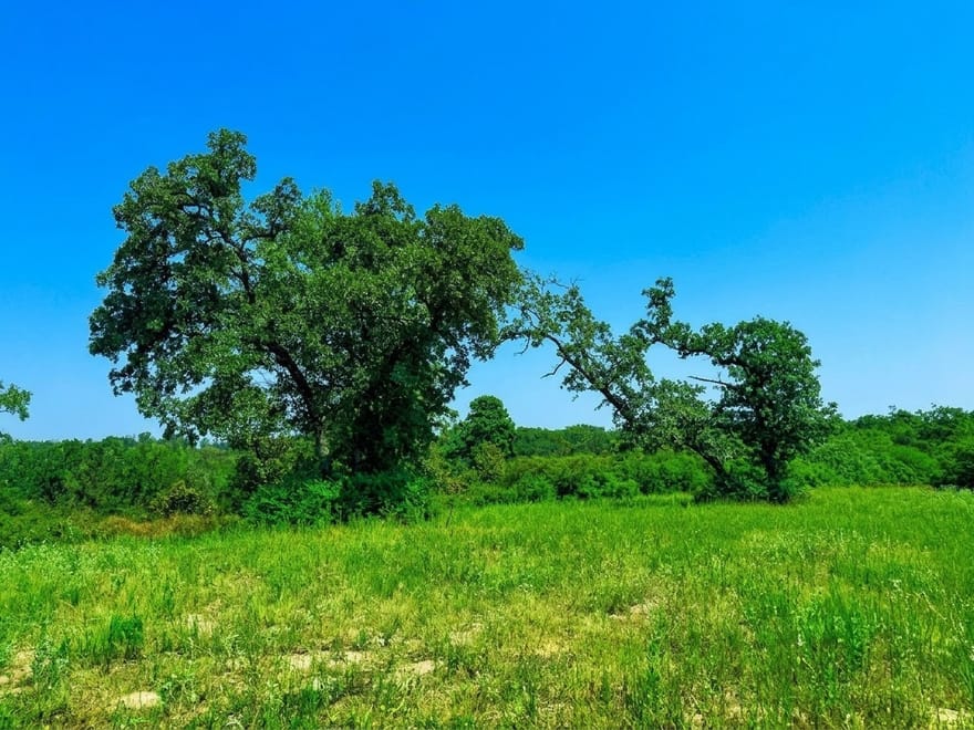 10AC Cr 261, Buffalo, Texas