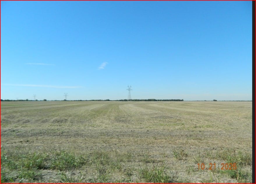 Moseley Road, Ennis, Texas