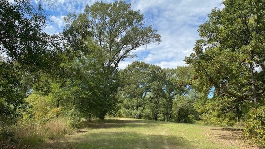TR 9A1 & 9C Fm 2709, Eustace, Texas
