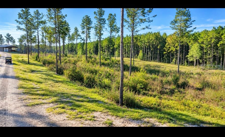 Lot 2 Black Buck Drive, Moscow, Texas