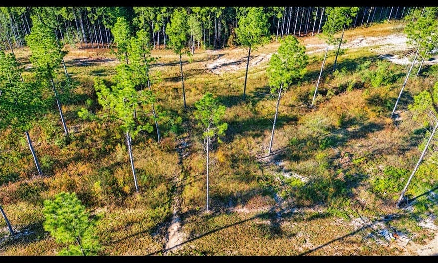 Lot 2 Black Buck Drive, Moscow, Texas