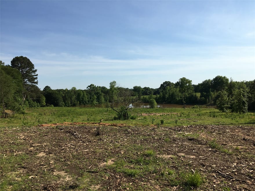 TBD Falcon View, Diana, Texas