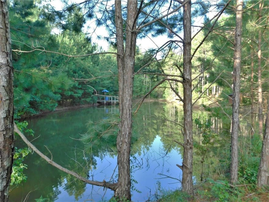11914 Browder Traylor Road, Conroe, Texas