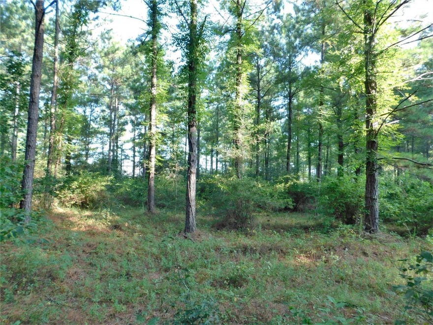 11914 Browder Traylor Road, Conroe, Texas