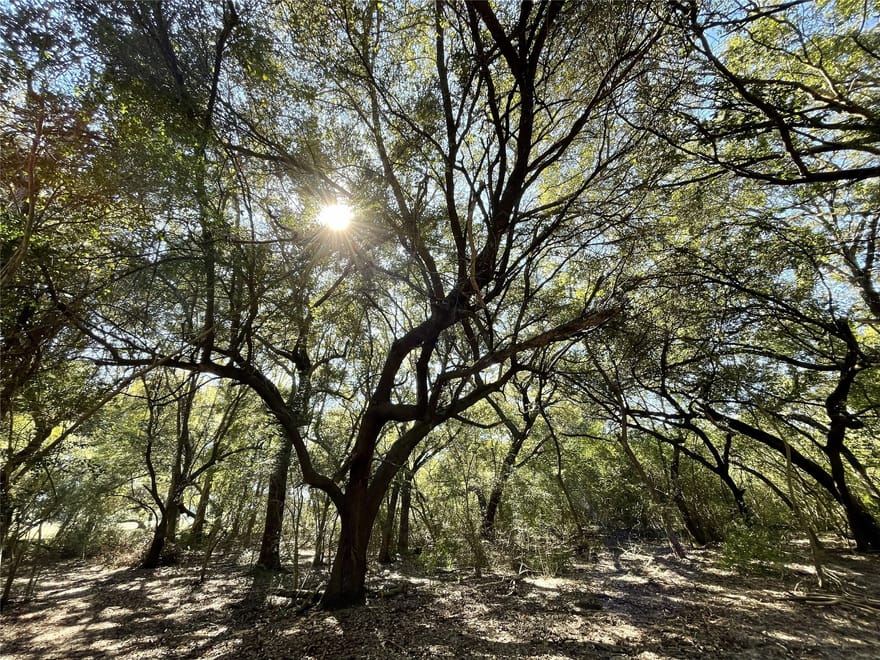 County Line Road, Winnie, Texas
