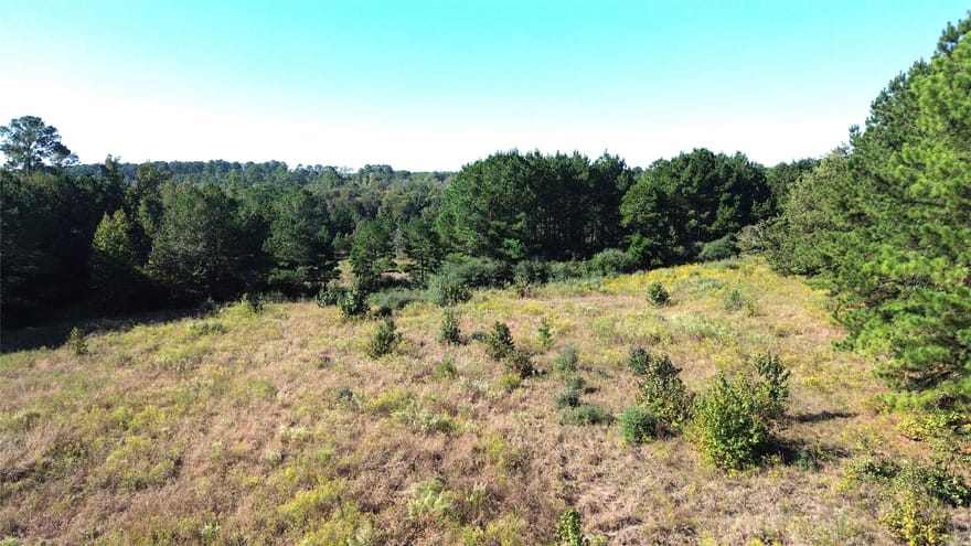Tract #20 Vineyard View Trail, Grapeland, Texas