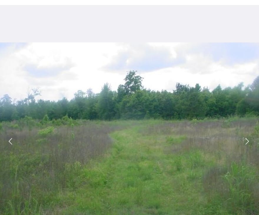 330 River Oaks Drive, Shepherd, Texas