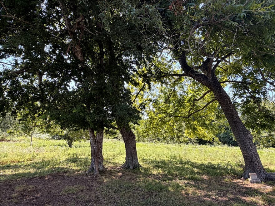 17353 County Road 323, Navasota, Texas