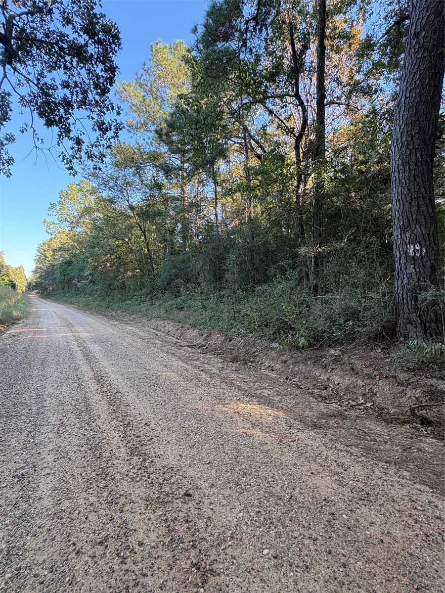 TBD Menard Chapel Road, Livingston, Texas
