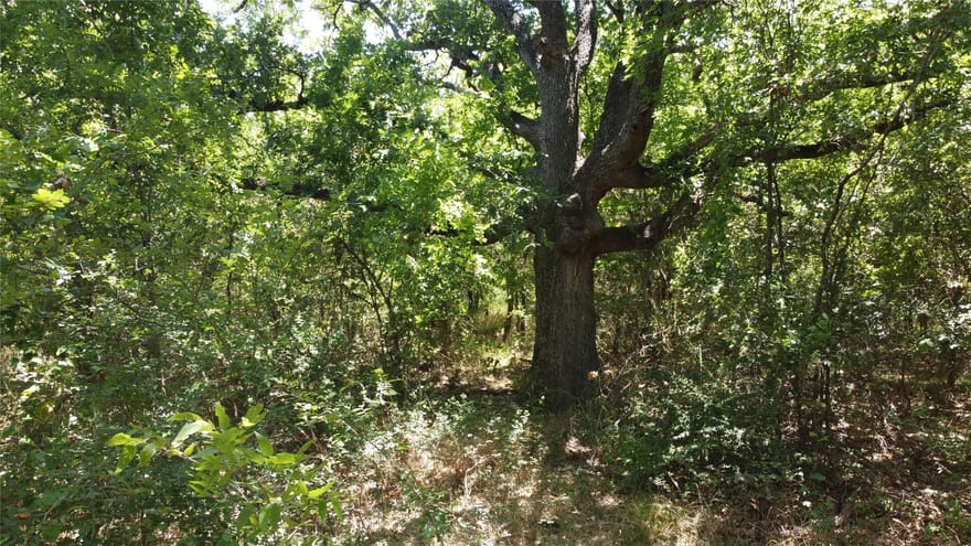 4189 Willow Oak Bend, Royse City, Texas