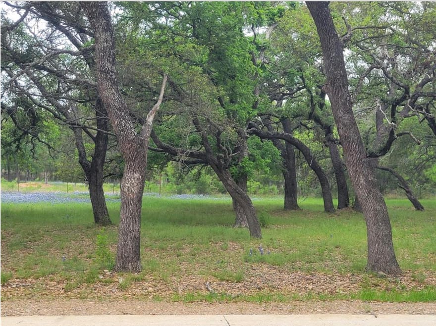 208 Cactus Cor, Horseshoe Bay, Texas