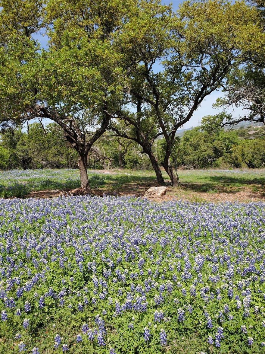 5401 Dew Drop St, Horseshoe Bay, Texas