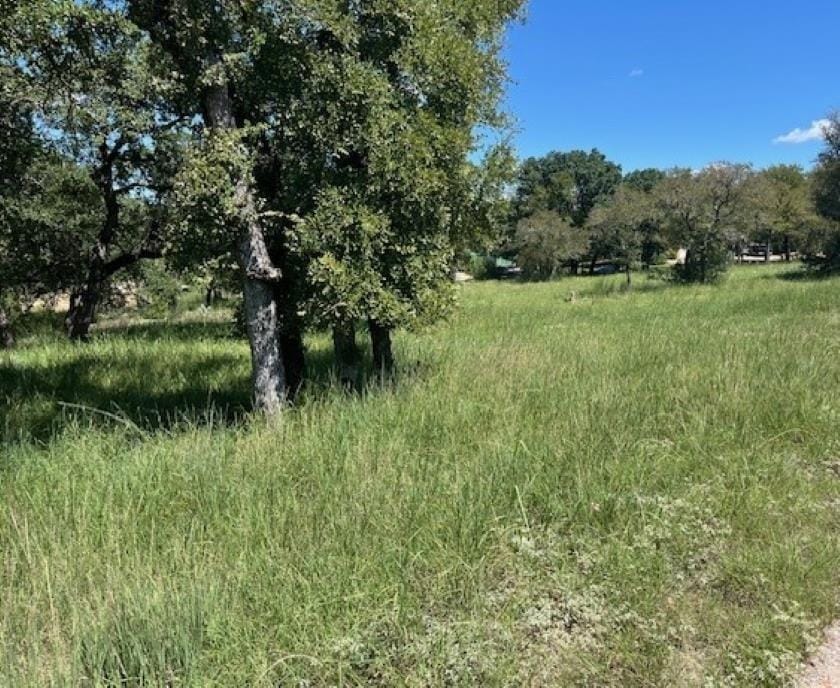 W1111 Blister Gold / Bay West Blvd, Horseshoe Bay, Texas