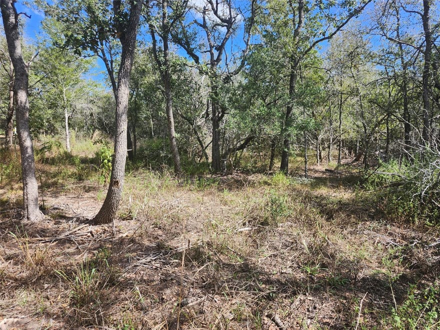 Escondido Dr, Del Valle, Texas